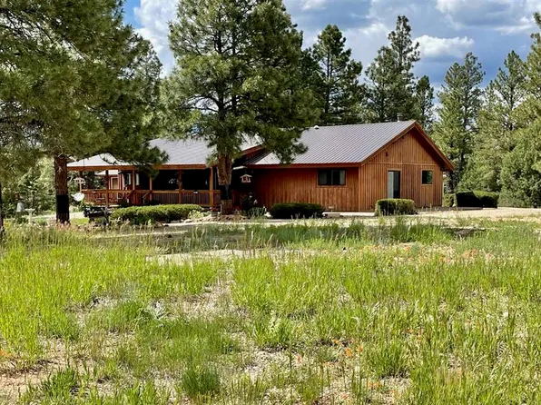 37969 Highway 184, Mancos, CO 81328