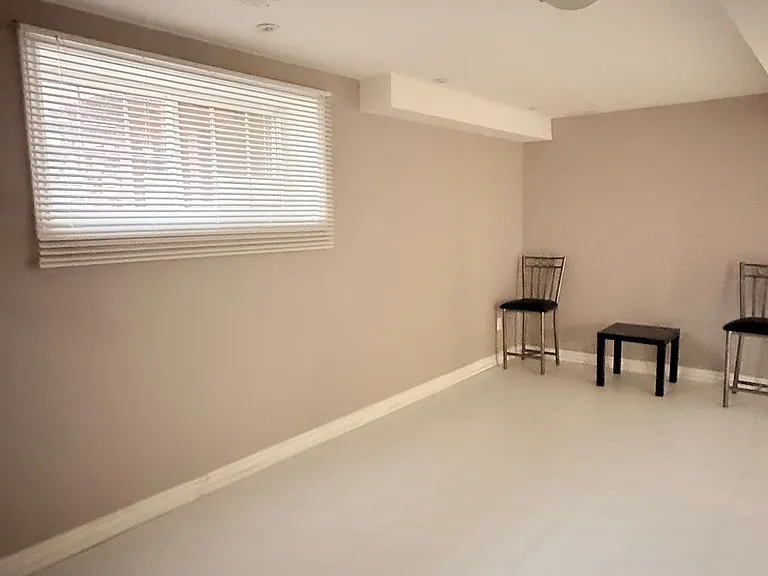 4 Meandering Trl #BASEMENT — Photo 5