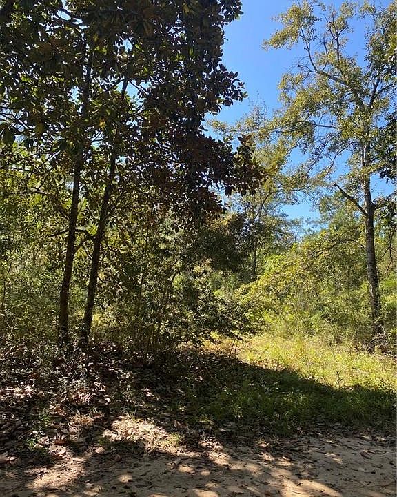 9605 North St Theodore AL Zillow