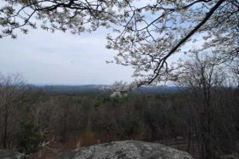 2nd image of 81 Ledgesite Rd
