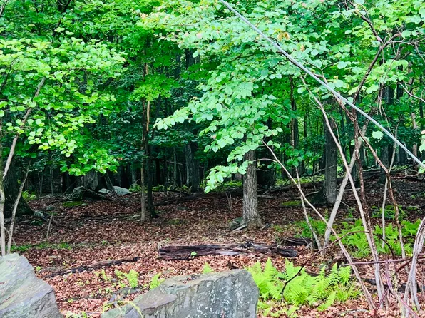 T556 Wooddale Rd, East Stroudsburg, PA 18302