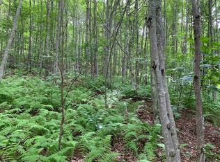 Little Dingle Hill Rd, Andes, NY 13731