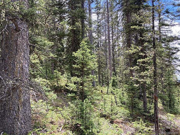 5th image of LOT 6588 Forbes Road