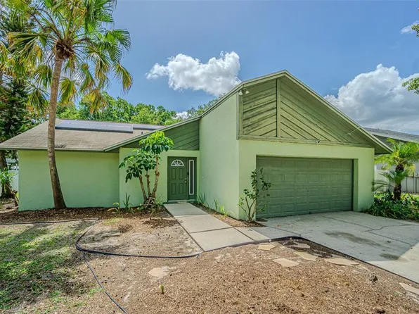 18425 Swan Lake Dr, Lutz, FL 33549
