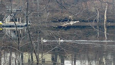 5th image of 61 Walden Pond Dr