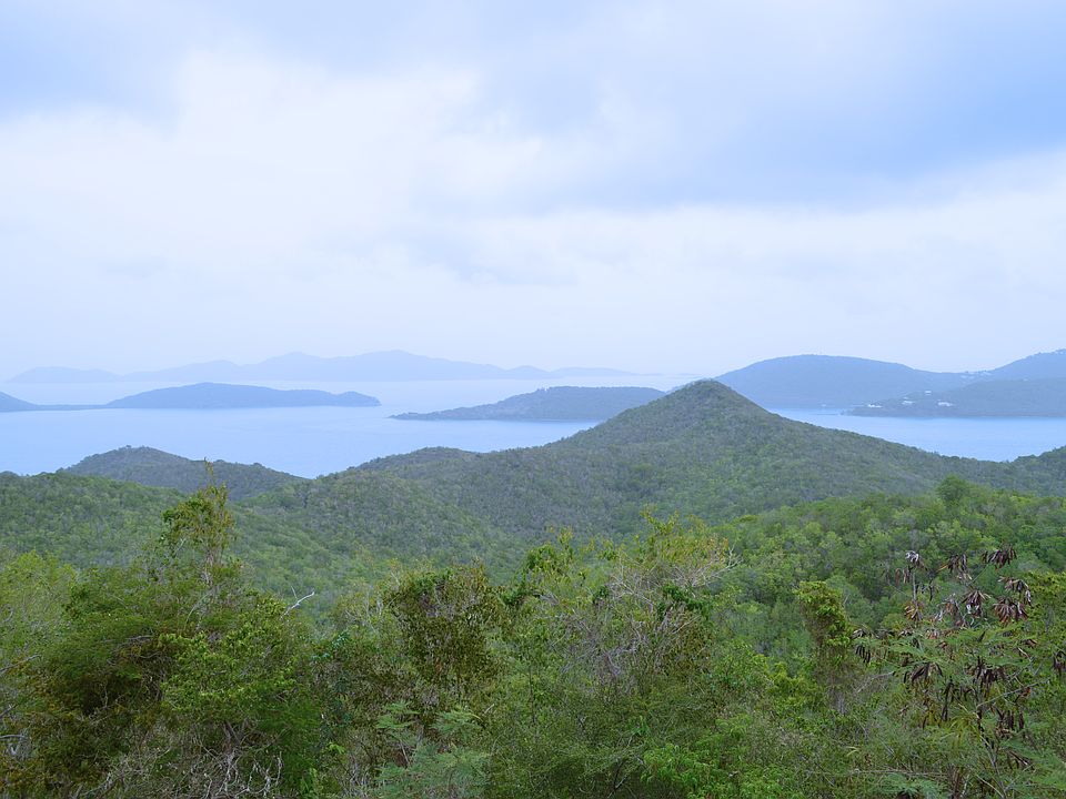 1st image of 5 I Leinster Bay Maho #5 I