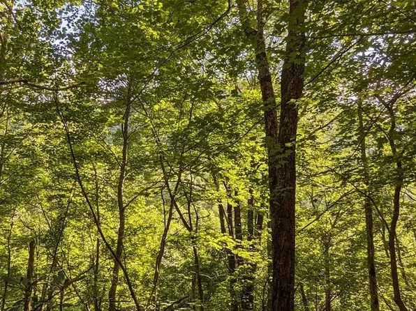 Lot 24 Pilot Knob Road, Glenville, NC 28736