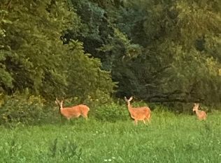 33419 S Dorsett Hill Rd, Archie, MO 64725