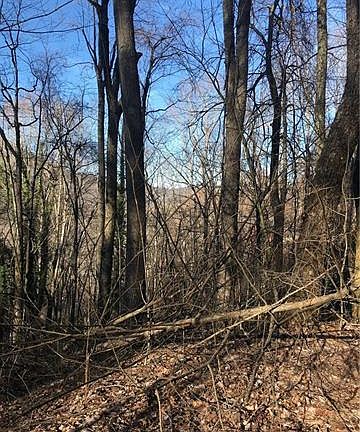 5th image of 209 Overlook Dr