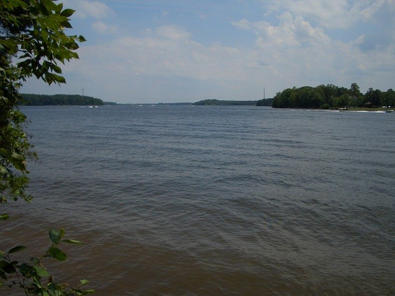 Lake Anna View