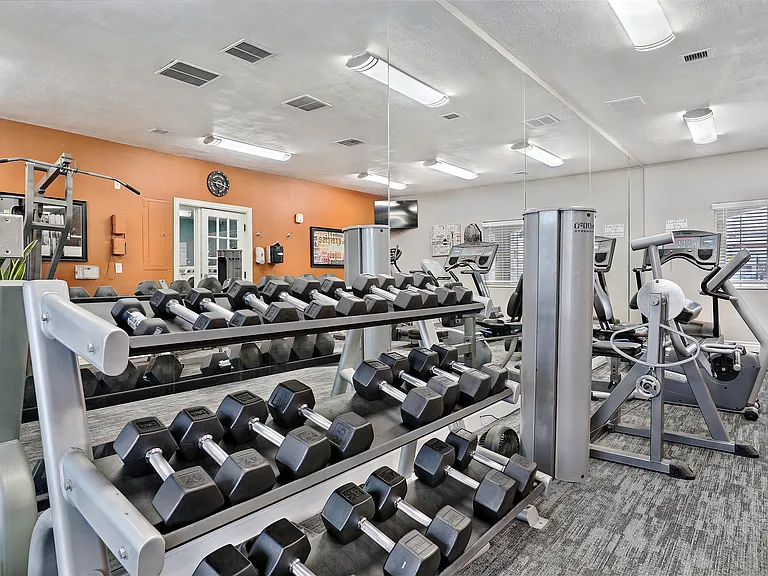 Free Weights