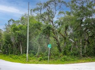 6425 Yam St, Webster, FL 33597