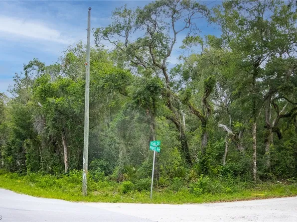 6425 Yam St, Webster, FL 33597
