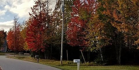 Fall picture of the lot