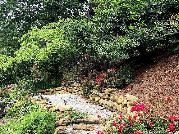 Lower Garden Summer