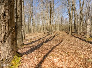 749 Blenheim Hill Rd, Jefferson, NY 12093