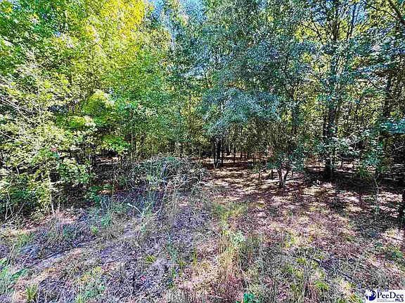 4th image of LOT 167 Brangus Ln