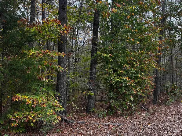 Maple Leaf Ln #0, Odenville, AL 35120