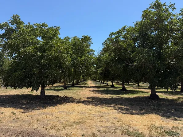 Putah Creek Rd, Winters, CA 95694