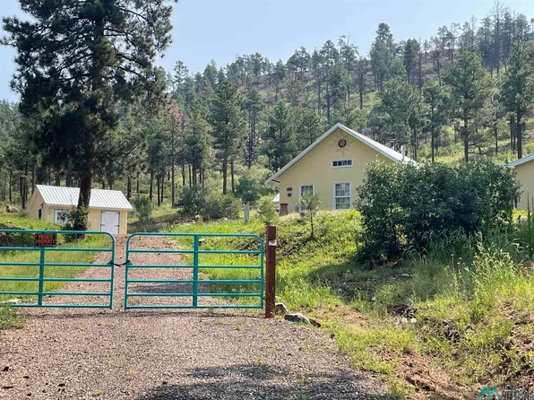 22 Pine Tree Rd, Buena Vista, NM 87712