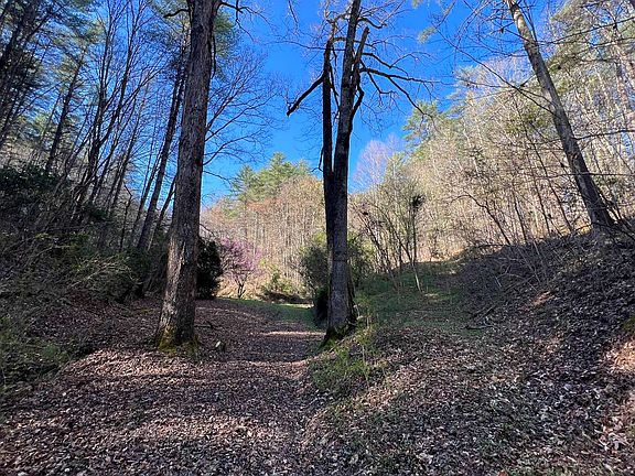 3rd image of 116 Woods Edge Ln