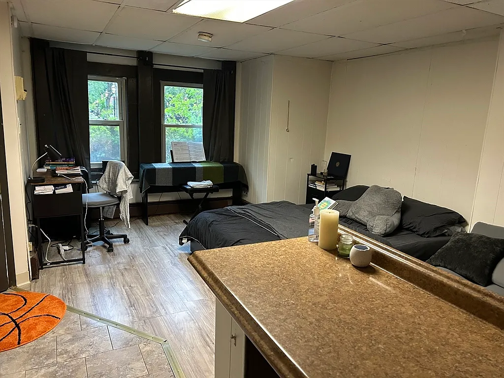 Studio, 1.0 bath, 250 sqft, $1,900 — Photo 4