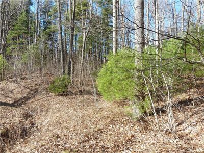 5 & 30 N Pointe Dr, Zirconia, NC, 28790