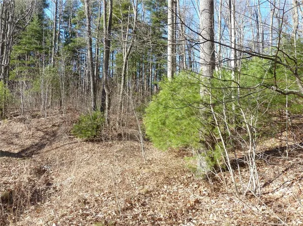 5 & 30 N Pointe Dr, Zirconia, NC 28790