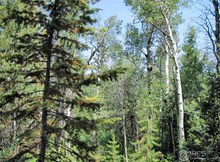 Sand Creek Park, Livermore, CO 80536