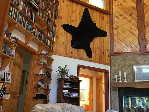 Living room built-ins