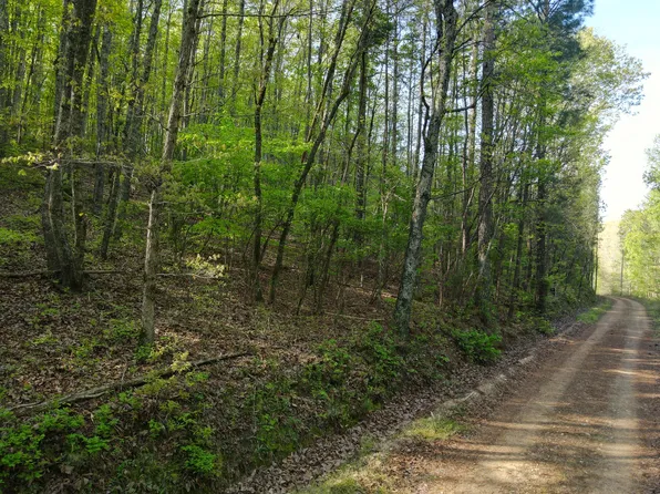 County Road 917, Collinsville, AL 35961