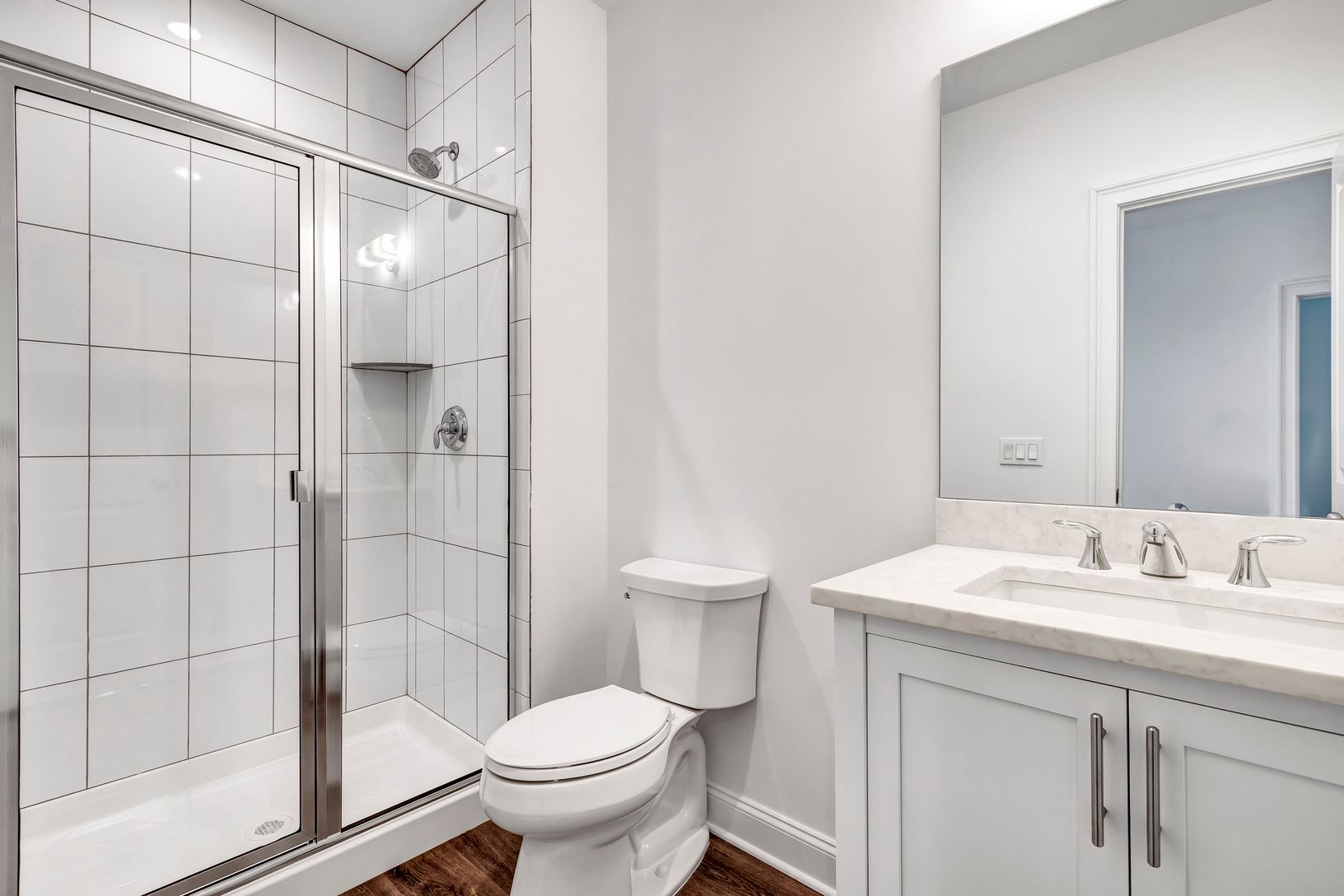 Lower Level Bathroom
