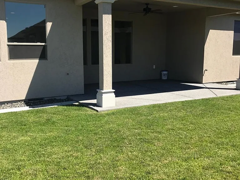 Back Patio