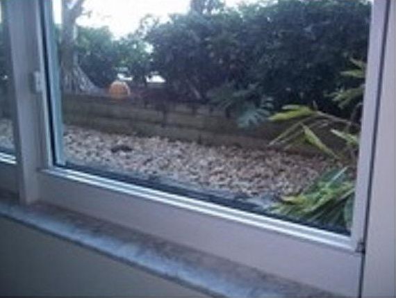 5th image of 2665 SW 37th Ave APT 513