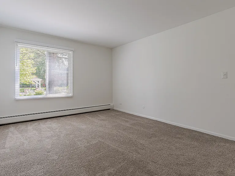 ReNew on Naper — Photo 25
