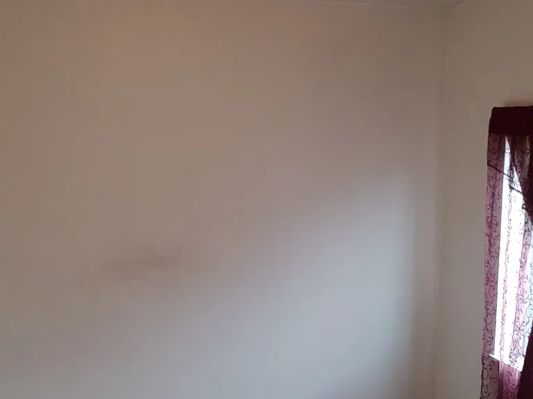 846 Allston Way — Photo 6