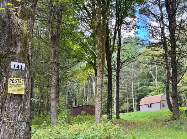 141 Tara Ln, Franklin, NY 13775