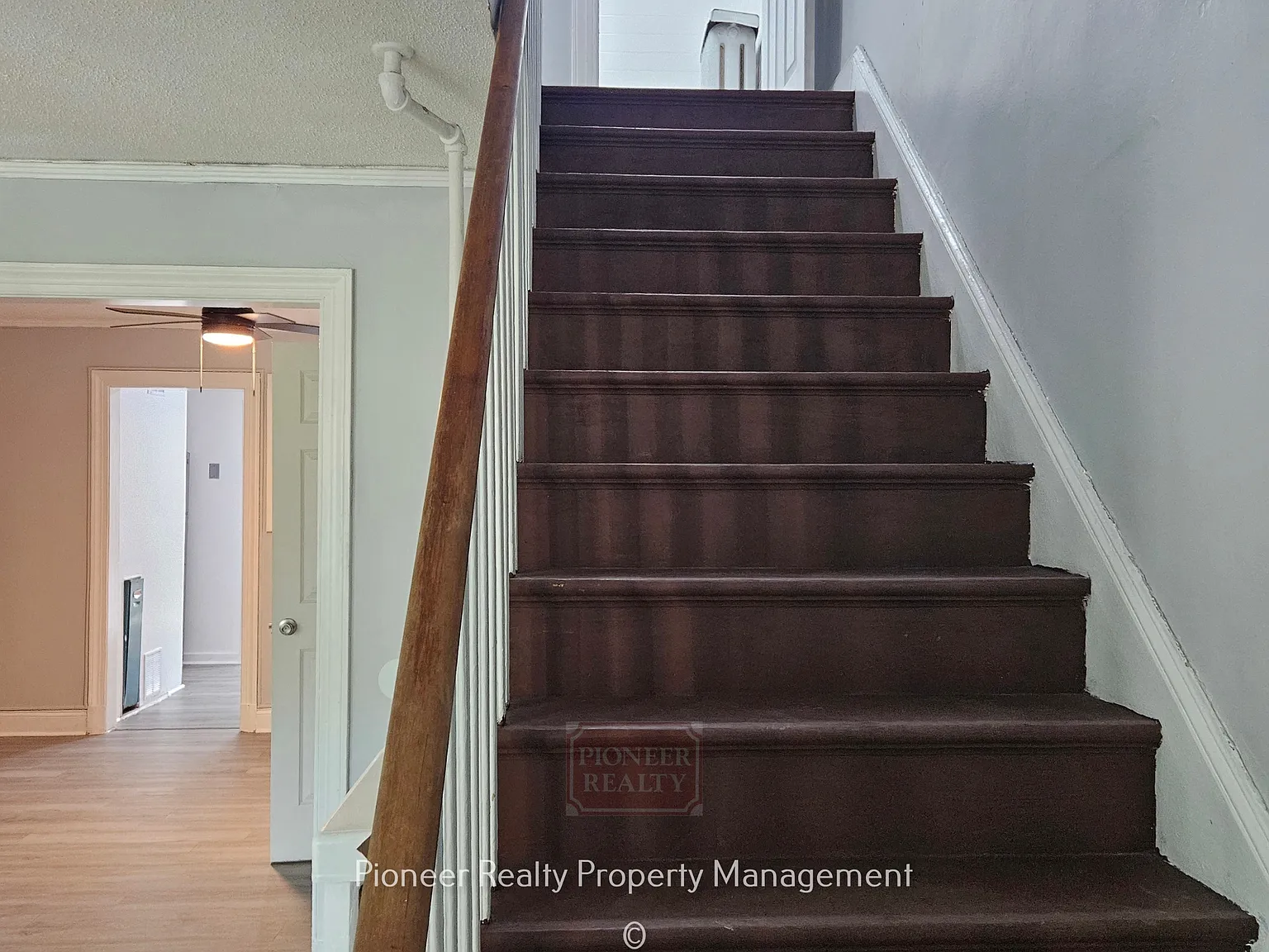 1207 South Meadow Street - 1 — Photo 4