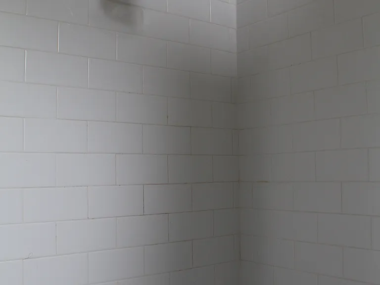 master shower