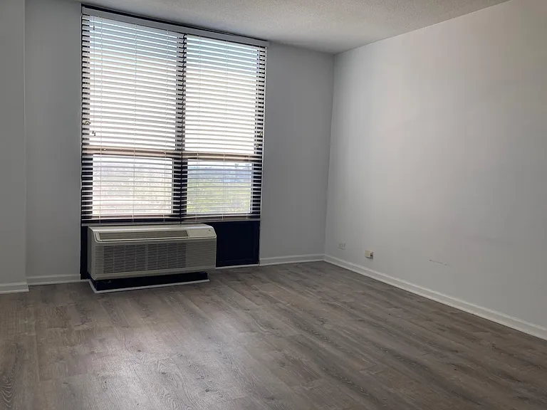 901 S Plymouth Ct #1301 — Photo 11