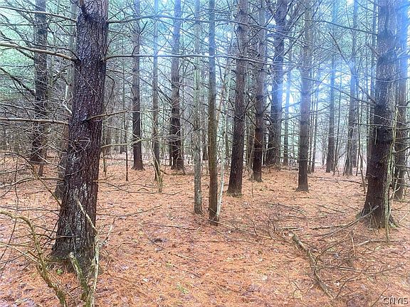 3rd image of 10138 Schuknecht Rd