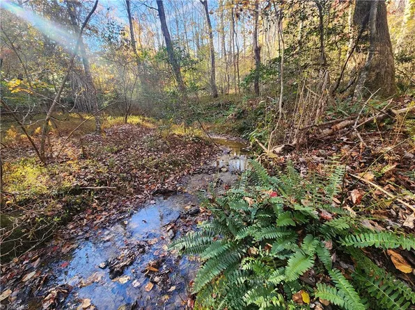 Sable Ave, Mount Airy, NC 27030