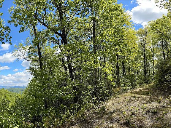 4th image of 99999 Laurel Mountain Trl #12