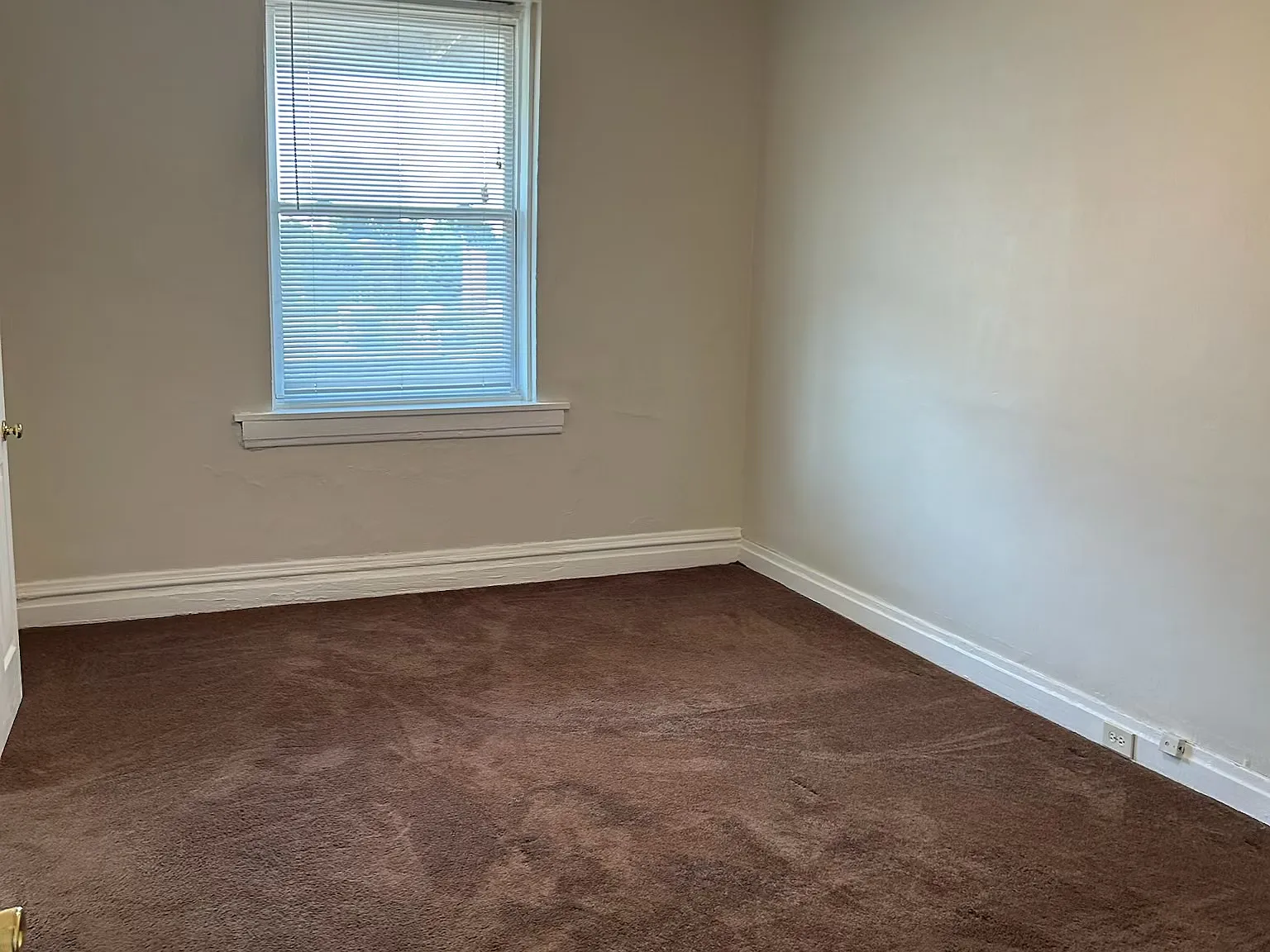 1 bed, $800 — Photo 4