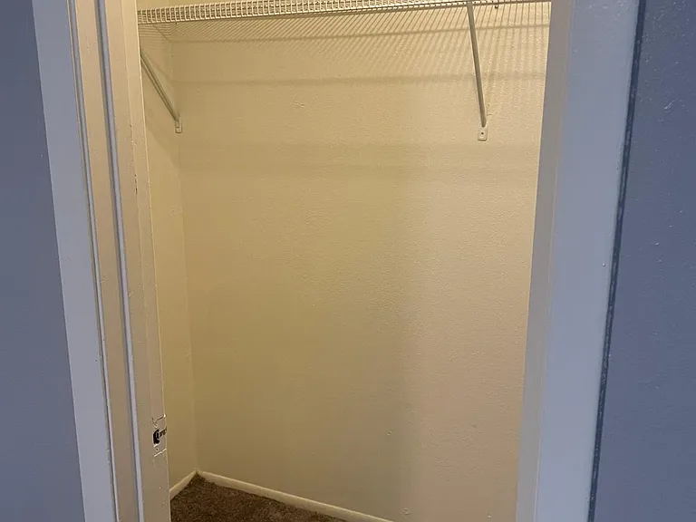 Walk-in closet(carpet has been removed for wood tile- not pictured)