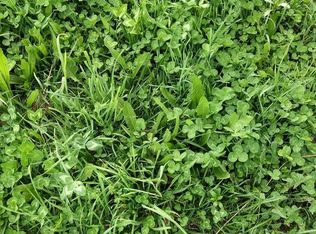 594 Little Creek Rd, Mountain Grove, MO 65711