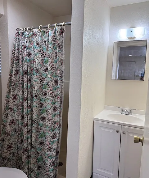 Shower and new vanity