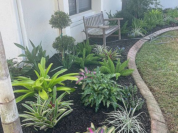 New- Low maintenance landsca