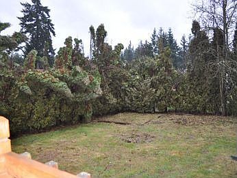 5th image of 21509 131st St E