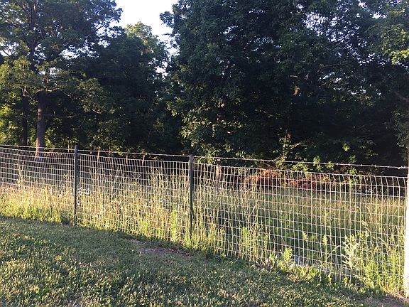back pasture/woods